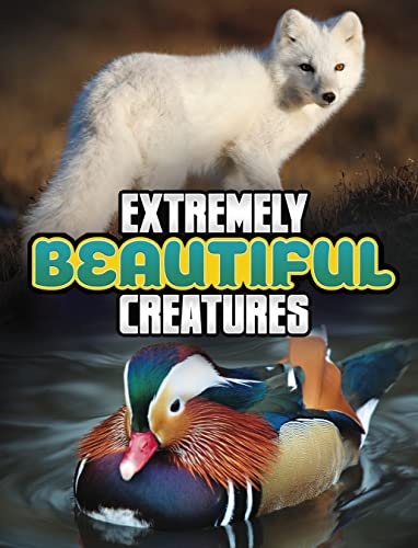 Raintree Extremely Beautiful Creatures (Unreal but Real Animals).