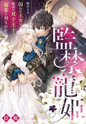 監禁寵姫~塔の上の囚われ王女は敵国の双子王子に偏愛を刻まれる~ (夢中文庫プランセ)