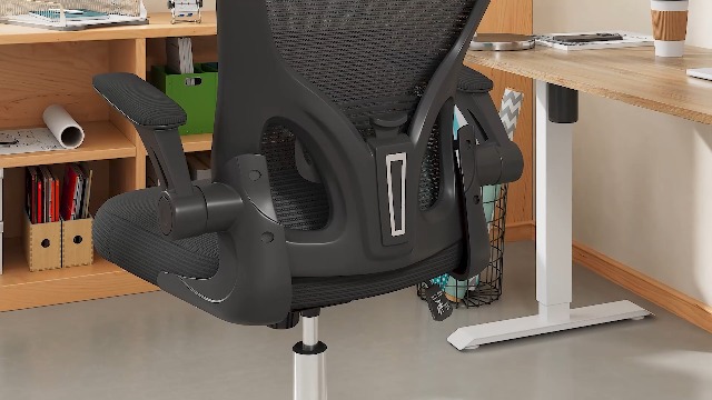 Amazon.com: DEVAISE Office Chair, High Back Mesh Ergonomic Desk