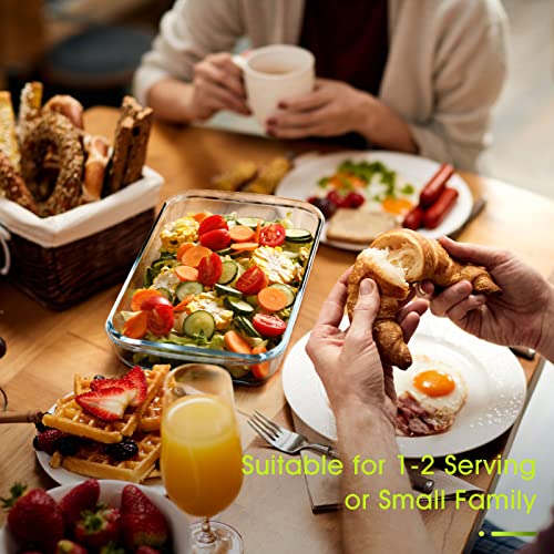 1 Liter Mini Glass Baking Dish For Oven, Single Serving Glass Pan For Cooking Small Glass Casserole Dish Rectangular Baking Pan Glass Oven Bakeware #TOP3