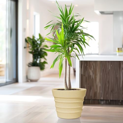 Image of YUCCABE ITALIA Fox B BR 14 Inch Beige Planter Pot Large Decorative Flower Pot for Home, Balcony & Garden