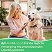 HylMed HA Liquid Dog, 250 ml, hochdosierte Hyaluronsäure, Kollagen und weitere Nährstoffe zur Unterstützung der Gelenke und der Bewegungsfreude des Hundes für bis zu 50 Tage