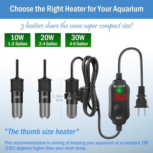 Image of Super Mini Aquarium Heater 10W Betta Heater for 1-2 Gallon Tanks, Small Fish Tank Heater Turtle Heater with Dry-Run /Overheat Protection, Memory Function
