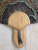 Taxidermists Woodshop The Medium Oak Turkey Mounting Kit with Beard Plate -02