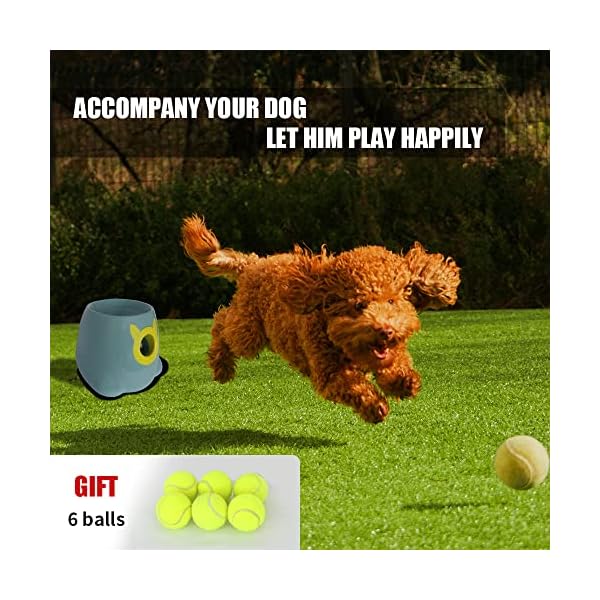 ptlsy-Automatic-Dog-Ball-Launcher-Interactive-Puppy-Pet-Ball-Indoor-Thrower-Machine-for-Small-and-Medium-Size-Dogs-3-Balls-Included-2-inch Interactive Ball Thrower Machine for Puppies