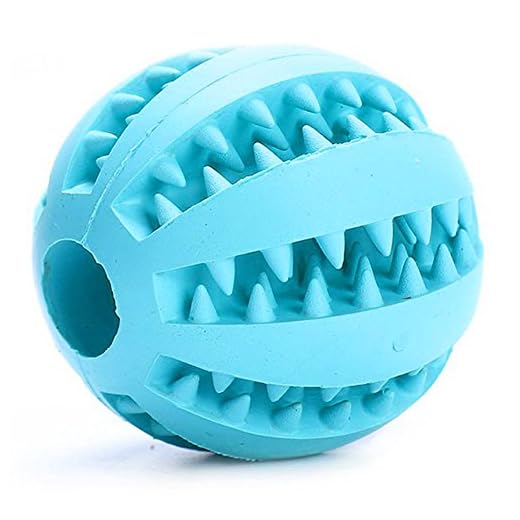 Trifycore Leksak för hundar mjuk gummiboll tuggande tandborstar pärlor giftfria mjuka gummiboll hund träning spel bitresistent squeeze tuggbar leksak för hundar leverera