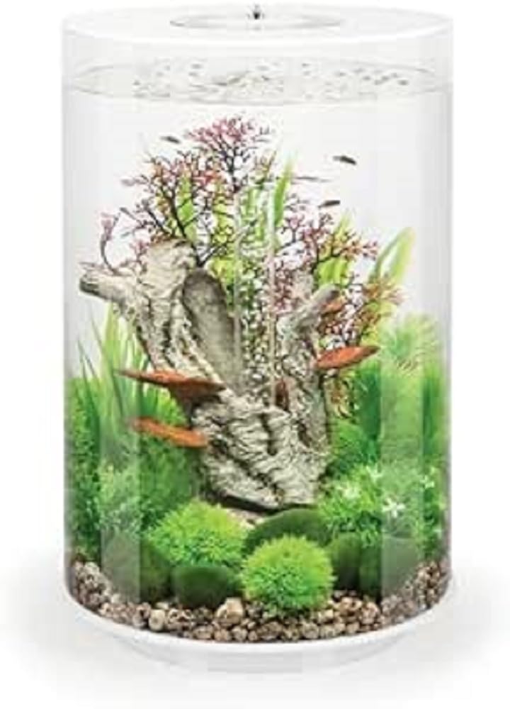 biOrb Aquarium Tube 35 (Blanc, 35 litres), Parfait pour débutants avec lumières LED intégrées, kit Tout-en-Un Facile à Installer, Aquarium en Acrylique Vue à 360 degrés, système de Filtration en 5