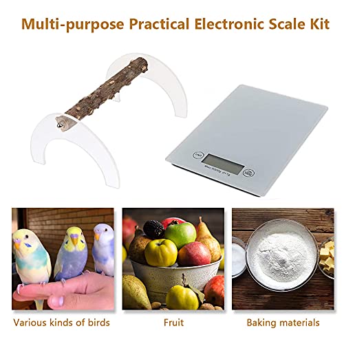 Image of Parrot Training Weight Scale, Accurate Bird Measure Accessories with Perch for Macaw Cockatiel, Range 1G - 5000G