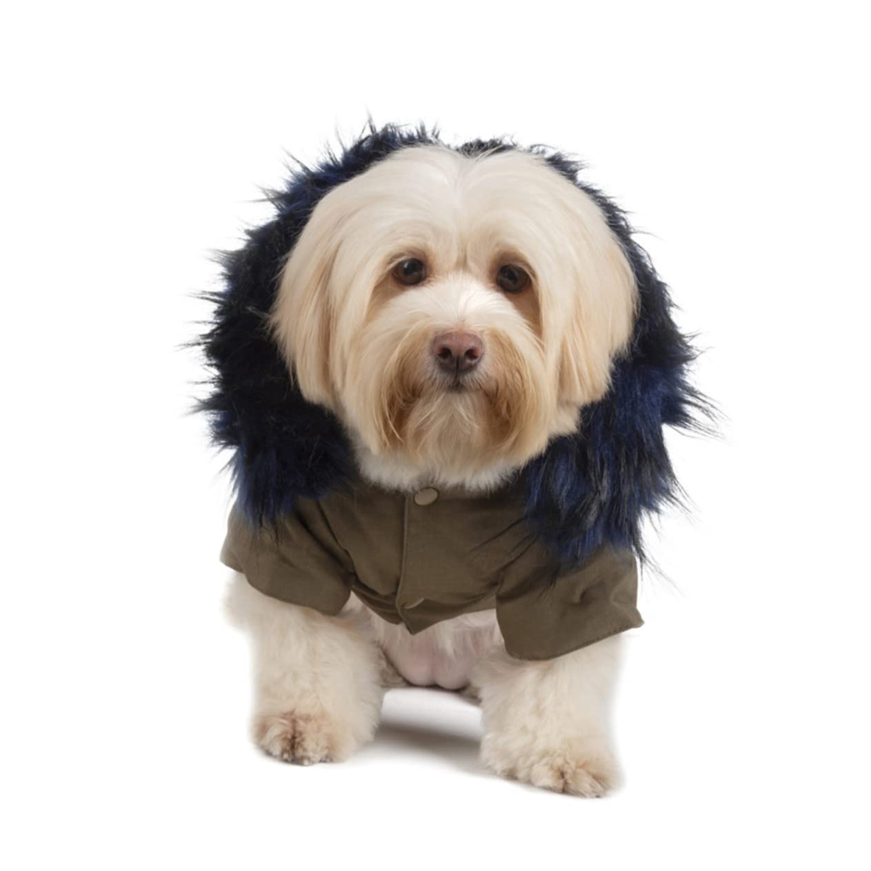 Didiseaon Felpe per Cani Calde in Cotone Cappuccio Costume Invernale per Animali Domestici Vestiti per Cuccioli Cappotto per Cani da Compagnia