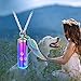 shajwo Cremation Jewelry Paw Print Urn Necklaces for Human Pet Ashes Cylinder Urn Pendant Keepsake Memorial Ash Locket Holder Necklace for Men Women,Rainbow