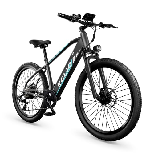 26'' Adult Electric Bike, 750W Peak 48V, 20MPH 7-Speed Commuter UL 2849