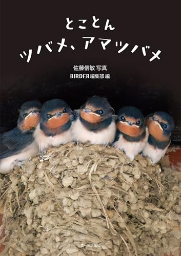 とことんツバメ、アマツバメの表紙