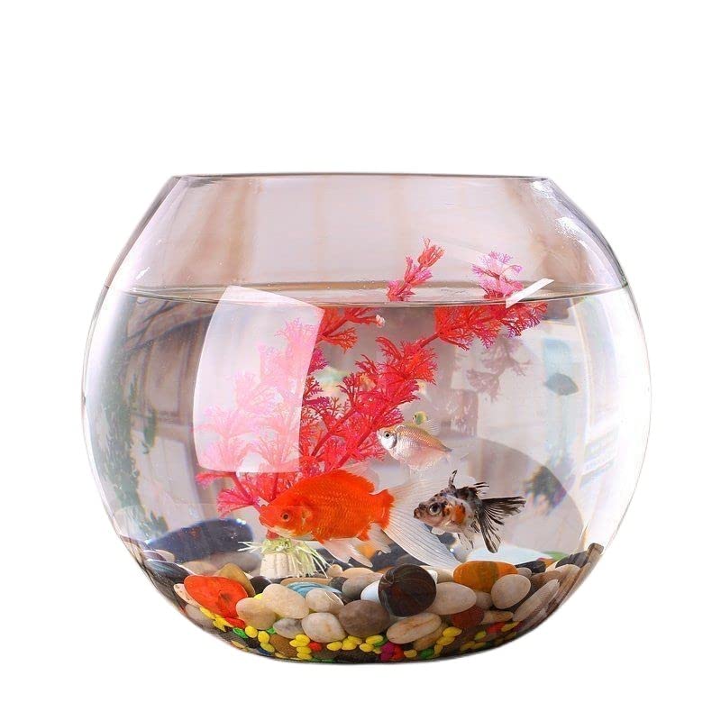 透明ガラス容器 赤い縁取り ガラス鉢 金魚鉢 透明ガラス容器 赤い