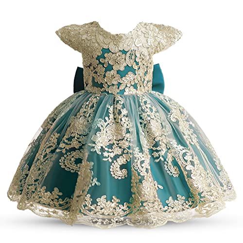 TTYAOVO Baby Girls Flower Dress Birthday Princess Party Lace Outfits