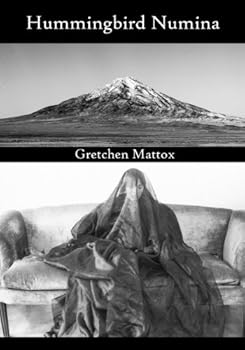 Paperback hummingbird numina Book