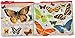 Blue Q Butterfly Society Pencil Case
