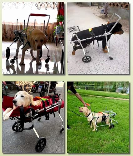 Silla de ruedas para perros con debilidad en patas y carrito de ayuda ajustable 2