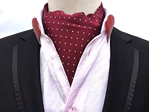 Elfeves Ascot Ties for Men Teen Boys Red Cravat Self Tie Polka Dot Luxury Ascot Birthday Gift