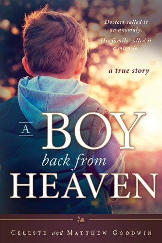 A Boy Back From Heaven (Latter-day Saint Book on Death and Near Death Experiences 13) book cover