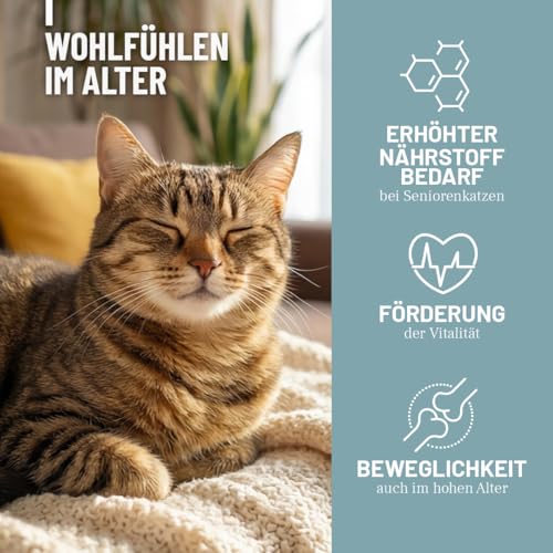 ReaVET Senior Complete Pulver für ältere Katzen – zur Unterstützung der Herzfunktion, Vitalität & Beweglichkeit I Ergänzungsfuttermittel für Seniorenkatzen – mit Taurin, Kollagen & Colostrum 50g