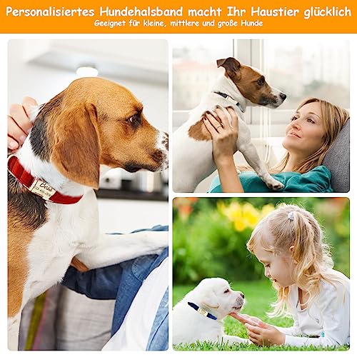 Collare per cani personalizzato con fibbia in