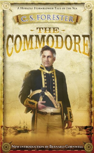 Commodore view 2