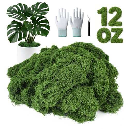 MGLIFEUL 12OZ Artificial Fake Moss for Crafts Plants Indoor with Non-Stick Gloves and TweezersPreserved Green Plant Faux Craft Moss Musgo for Fairy Garden Indoor Outdoor Home Decorating Model Making