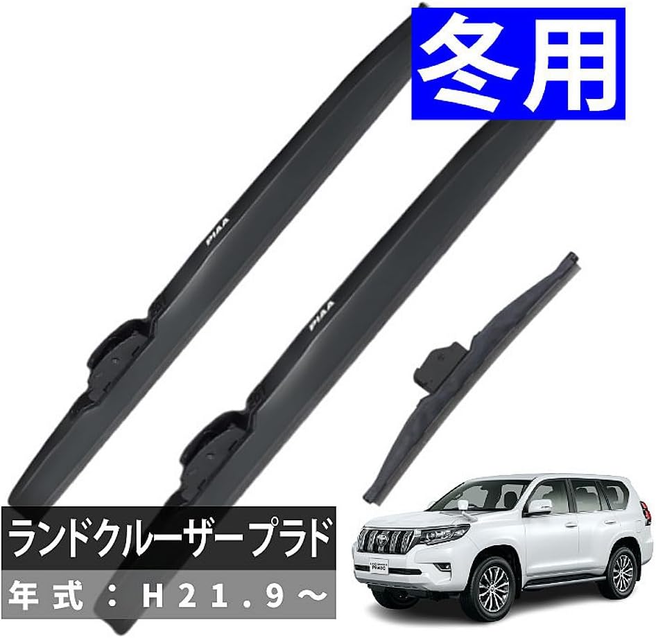 日本画 渋川矗(なおし)［ほそば のぎく］細葉野菊(別名：紀州菊) 高級