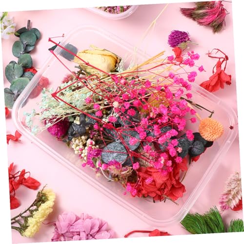 6 cajas flores naturales secas para manualidades y decoración miniatura 7