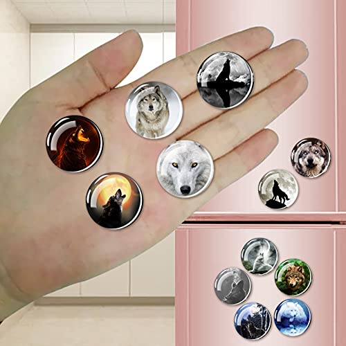 12 imanes decorativos de vidrio para refrigerador miniatura 4