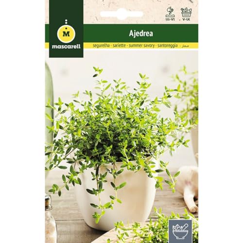 Mascarell Semillas, AJEDREA, Semillas de Hierbas Aromáticas para Plantar, Crea tu Propio Huerto en Casa, 3 Gramos