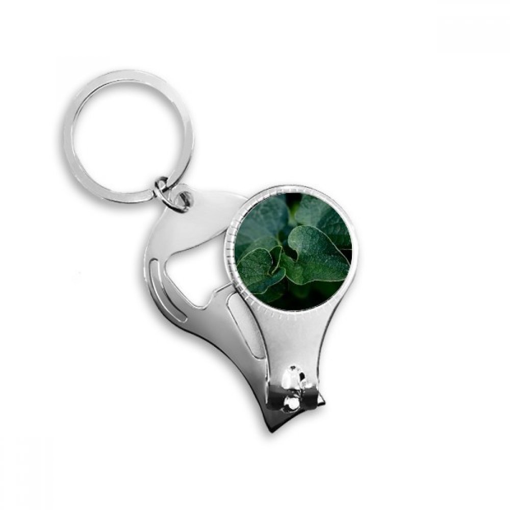 Clipper coupe-ongles décapsuleur feuille foncée accessoire manucure hygiène et ouverture