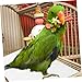 BESPORTBLE 100Pcs Bird Cage Liner Paper Disposable Absorbent Mats for Parrot Cages Leak Efficient Urine Absorption Bird Cage Accessory for Clean Environments