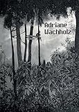 wachholtz verlag plattdeutsch  Adriane Wachholz