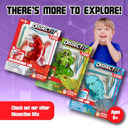 Image of Top Secret Toys Dissect-It Mini Labs Bat Lab Dissection Kit for Kids, Realistic Synthetic Kids Science Kit - On, Biology and Animal Anatomy, STEM Toy, Ages 6+