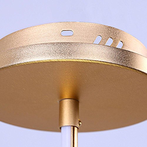 LED 36W Figura del Fiore Plafoniera Moderno