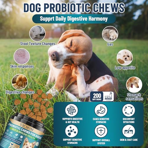 VICSOM Probiotics for Dogs, 200 Dog Probiotics for Gut Health & Skin Comfort- Dog Probiotic Supplements, Digestive Care for All Dog, Dog Probiotic Chews for Dogs, Chicken Flavor - Image 2