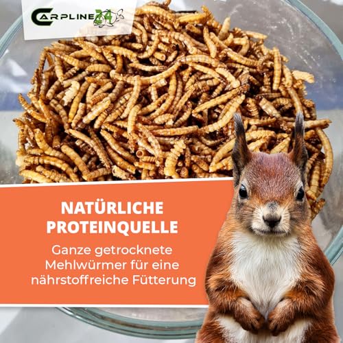 Carpline24 Getrocknete Mehlwürmer 250 ml - Proteinreiche Insekten als Futter für Reptilien, Nager, Igel & Fische, Vogelfutter, Winterfutter