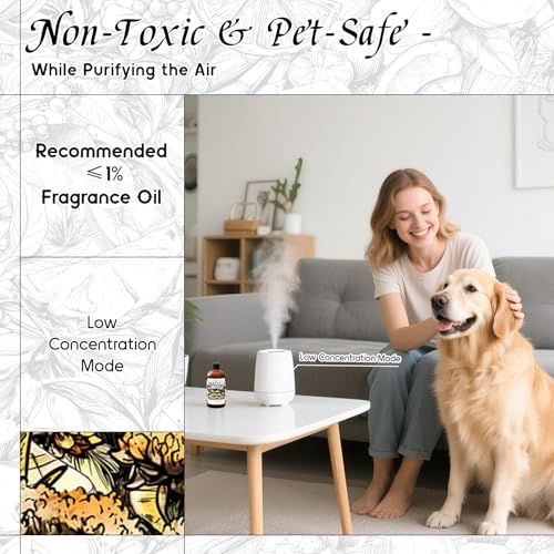 Image of HIQILI Helichrysum Fragrance Oil, DIY Skin Care & Body Product - 5.07 Fl Oz | Suitable for Essential Oil Diffuser, Candle & Soap Making, DIY Helichrysum Balm, Long-Lasting Scent
