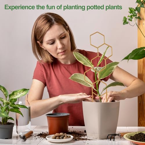 image for Wellsign Small Trellis for Potted Plants, 15.94 inch Gold Metal Plant 