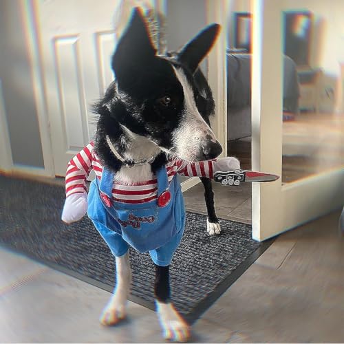 Lustige Chucky Hundekleidung, Hundekostüm Hhallowee Halloween Hundekostüm Wig and Knife Haustier Kleidung Hund Schreckliches Kostüm für Halloween Haustier Cosplay Party