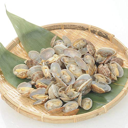 �k�t������ 500g (51�`60����) 19581