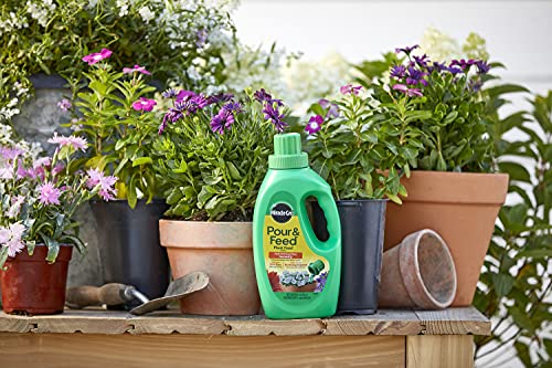 Miracle-Gro Fertilizante Líquido 32 oz Pack 6 miniatura 2