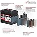 LANGZEIT ASIA Autobatterie 40Ah 12V 330A/EN ASIA Batterie Plus-Pol Rechts 30% mehr Startleistung ersetzt 35Ah 36Ah 38Ah 42Ah