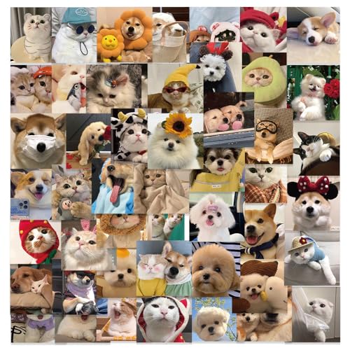 52Zbg qtHg ybg|[g[g ʂݕ 킢 ybgAbvʐ^ XebJ[ h fJ[   lC m[gp\R p\R Xm{ XP[g{[h ו X[cP[X M^[  X}zP[X 