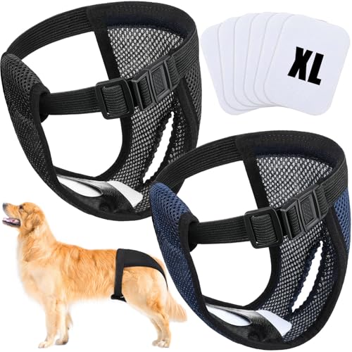 Pantalones Pañales para Perros Hembras XL - Negro y Azul