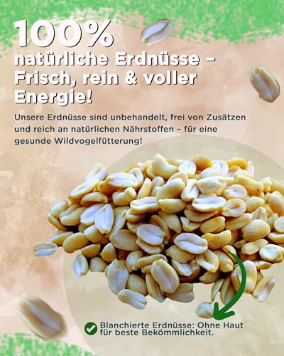 Futterbauer Erdnüsse blanchiert 10 kg, Weiße & schalenlose Erdnusskerne für Wildvögel & Eichhörnchen, Ambrosia kontrolliert, hochwertiges Vogelfutter