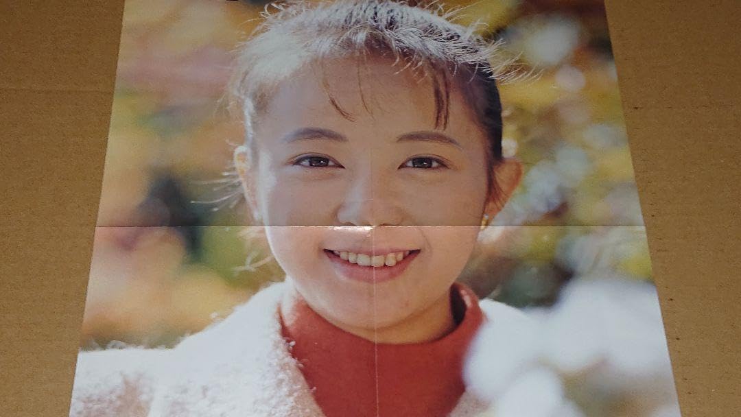 Amazon.co.jp: 高橋由美子 1993年～1995年 大量 切り抜き ファイル 1冊