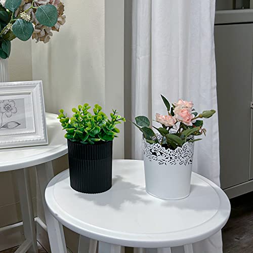 Denture Bath, Invisible Denture Case Designed As Artificial Eucalyptus Potted Plants, Denture Cup With Strainer For Retainer, Mouth Guard & Dentures, Perfect For Home Decoration #TOP7