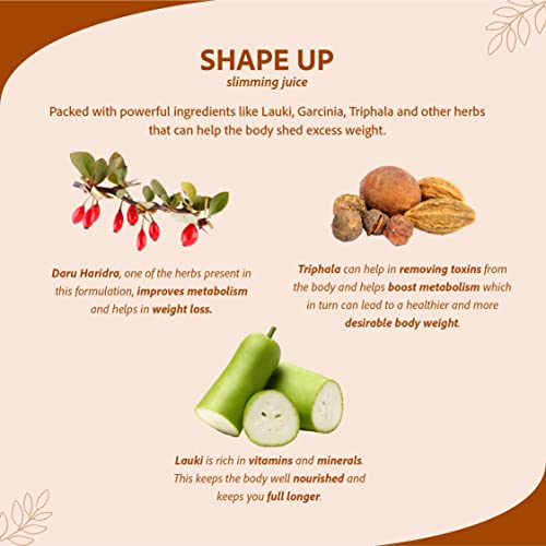 Image of Sri Sri Tattva Shape Up Slimming Juice - Burn Fat Naturally | 7 Potent Herbs For Weight Management | 1L (Pack of 2)